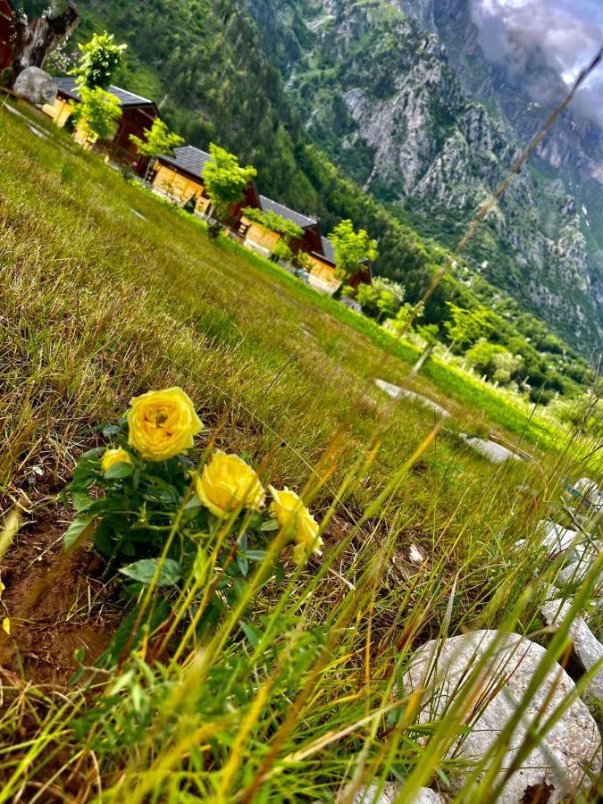 Villa Center Park Valbona Valley Bajram Curr
